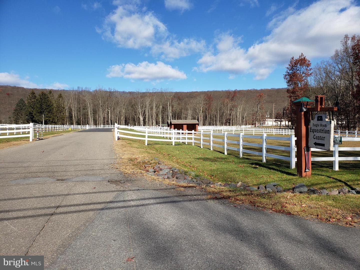 208 Owego Drive photo 74