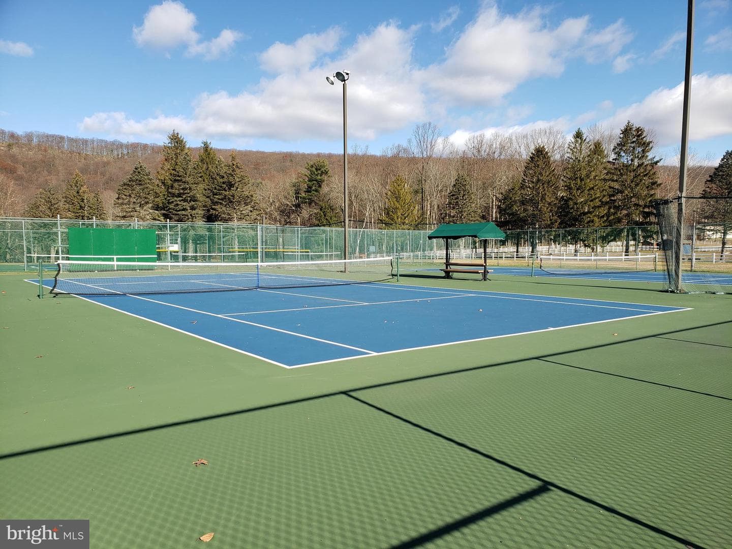 208 Owego Drive photo 78