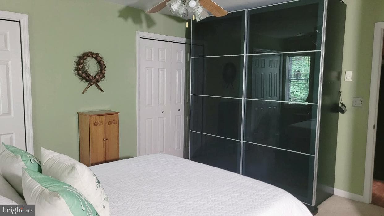 202 Trapper Springs Circle photo 18