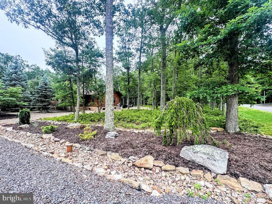 2034 Wichita Lane photo 3