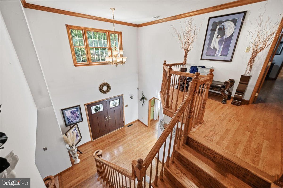 498 Twinbrook Road photo 56