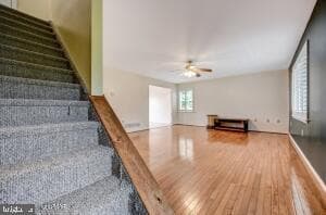 922 Meadowlark Drive photo 9