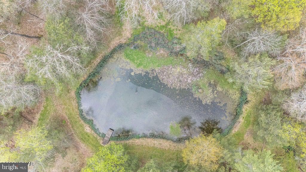 2270 Pine Tree Road photo 90
