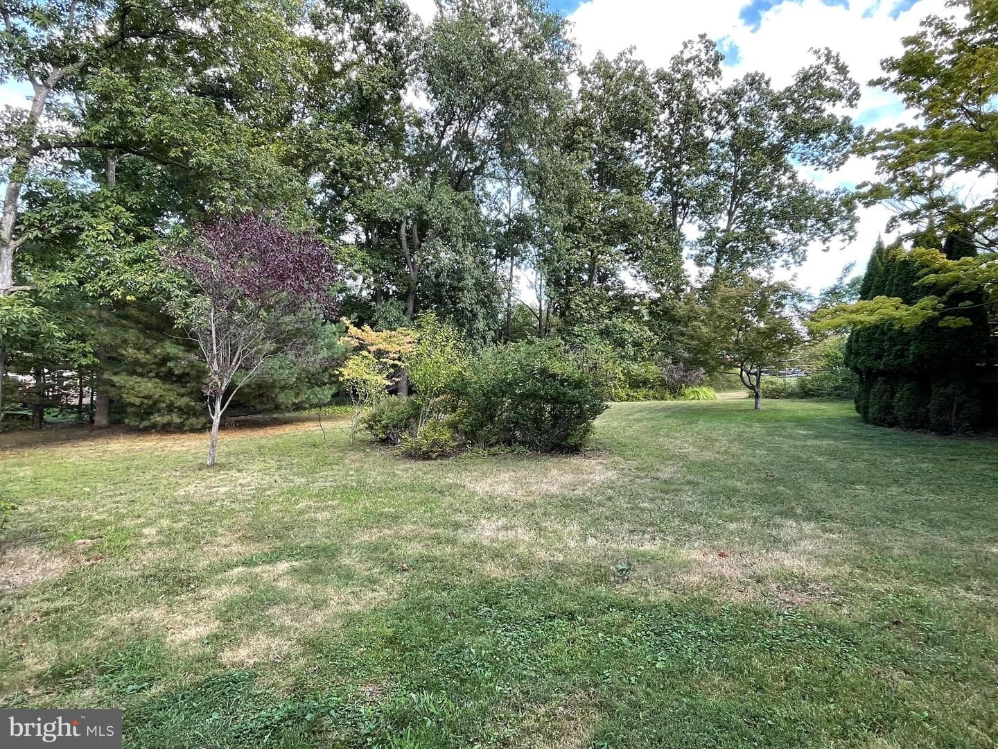 509 Cowpath Road photo 55