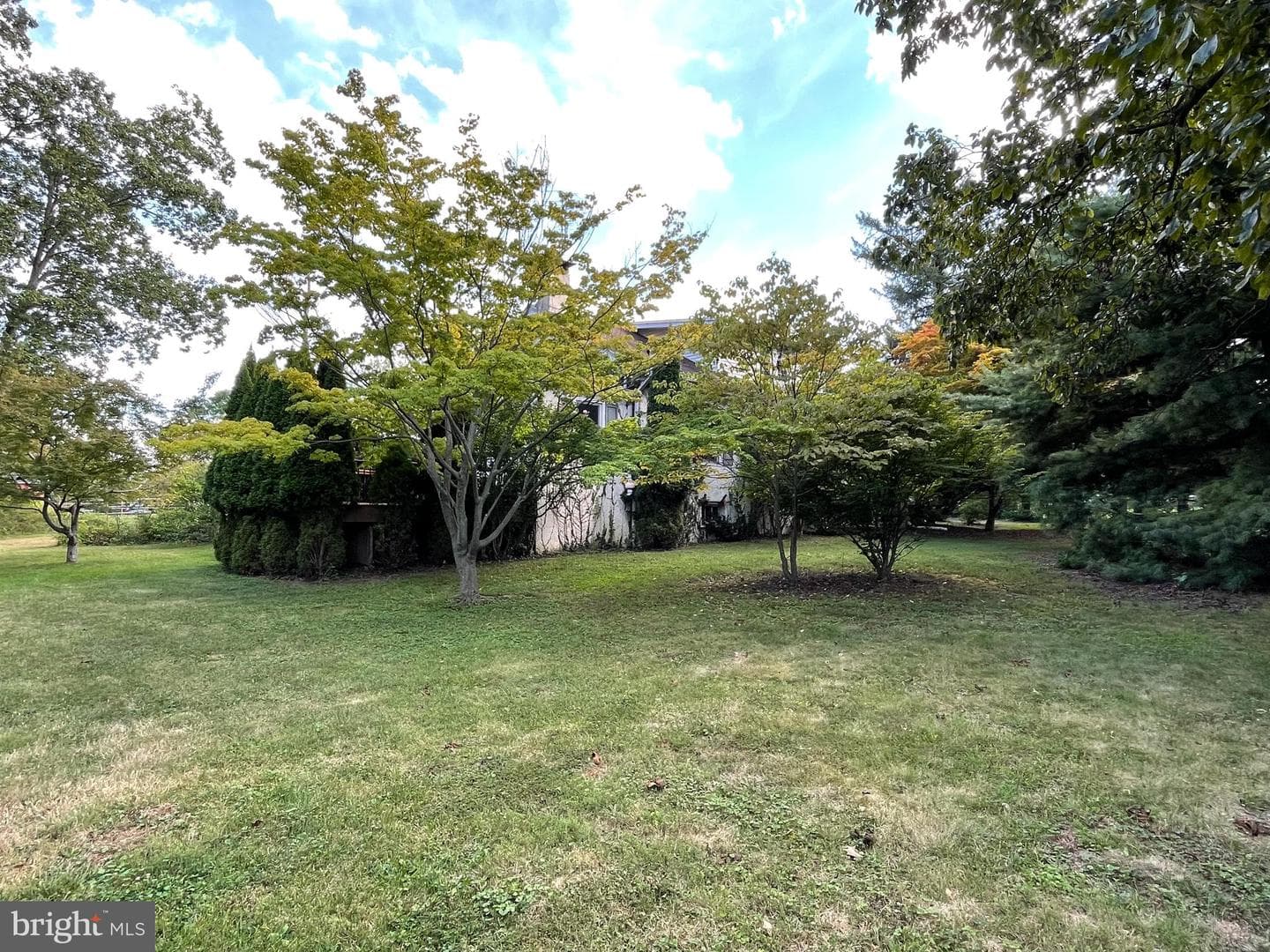 509 Cowpath Road photo 56