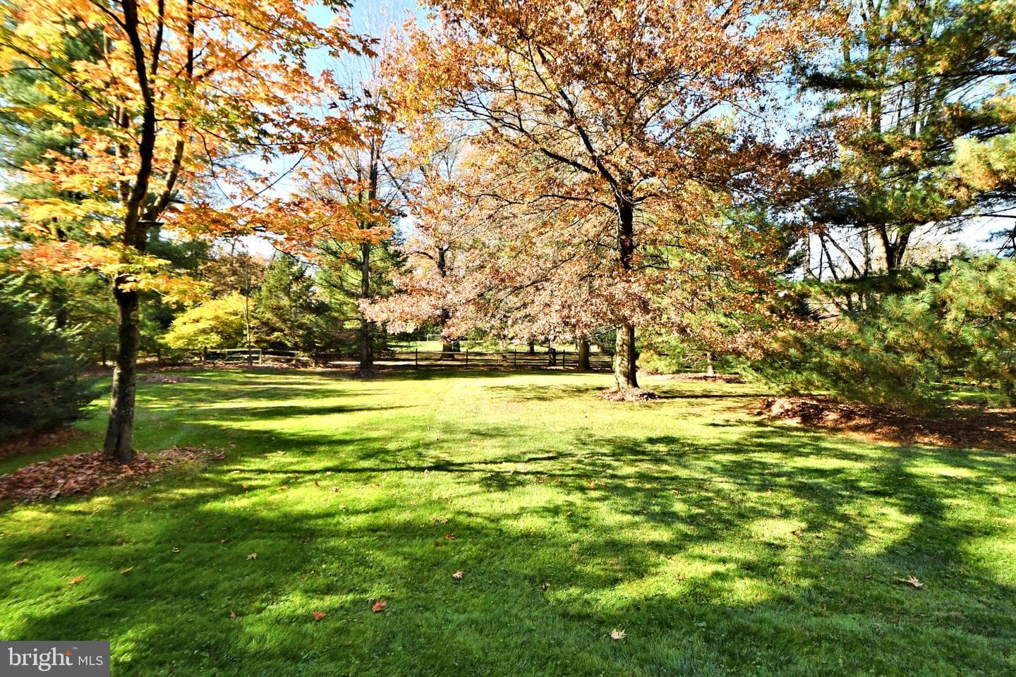 416 Norristown Road photo 63
