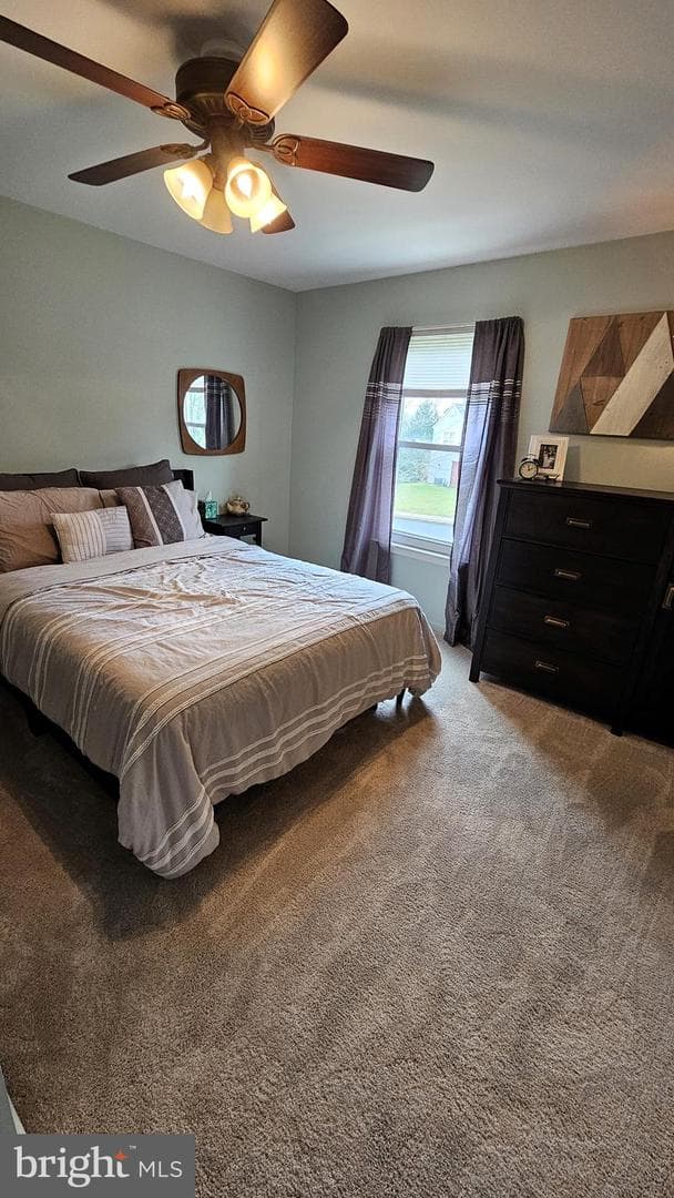 118 Stephanie Lane photo 20