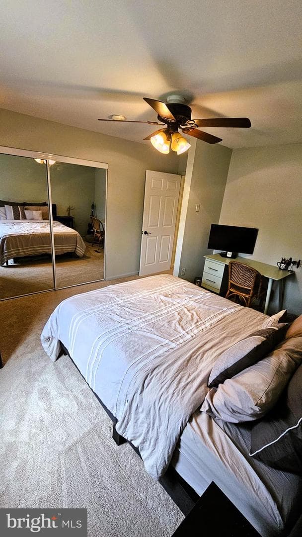 118 Stephanie Lane photo 22