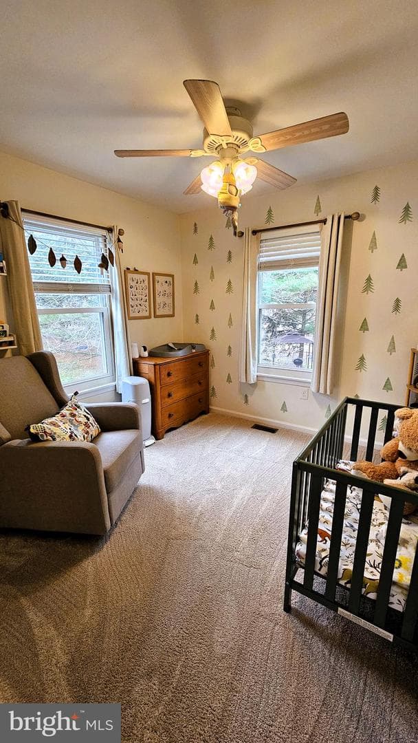 118 Stephanie Lane photo 24