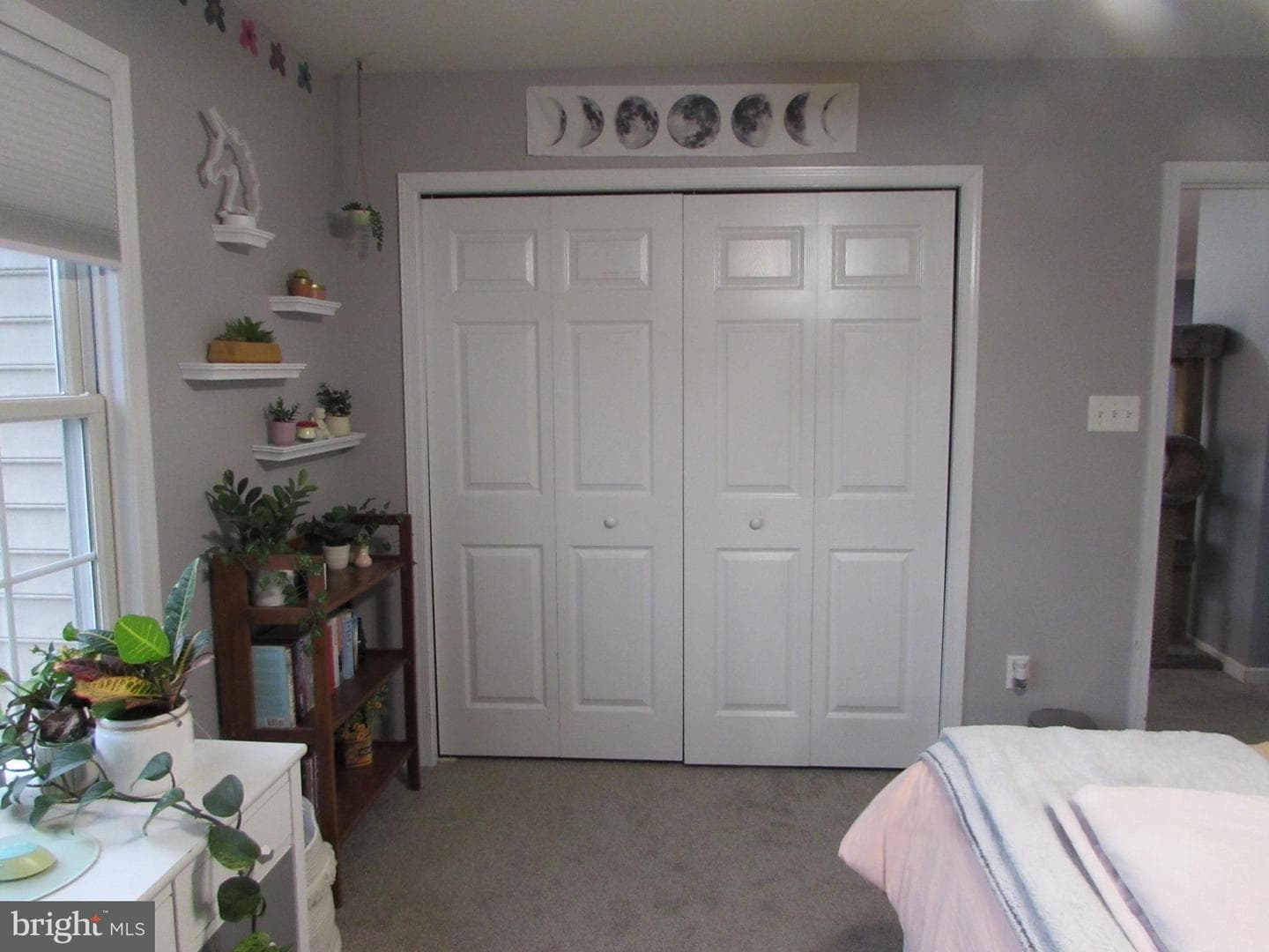 996 Candelora Drive photo 63