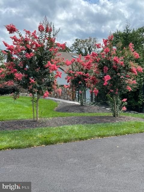 204 Stefan Place photo 47