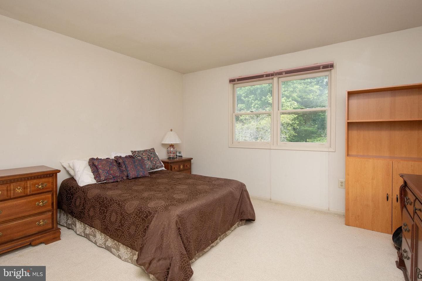 203 Steeplechase Drive photo 25