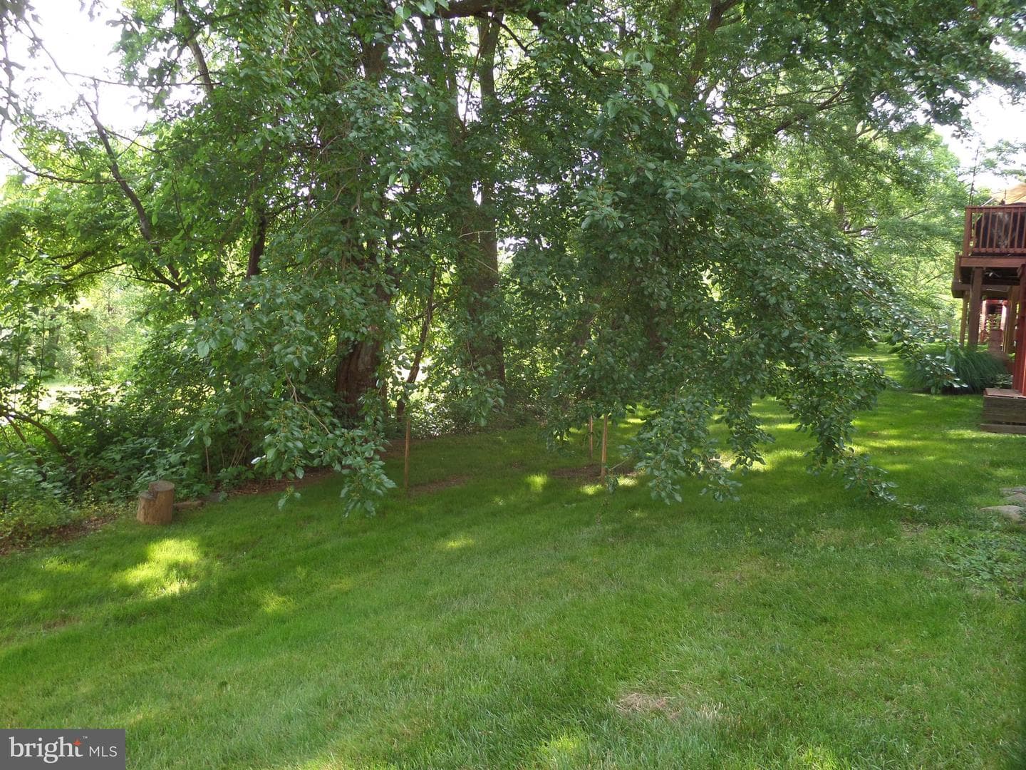 281 Parkview Drive photo 12