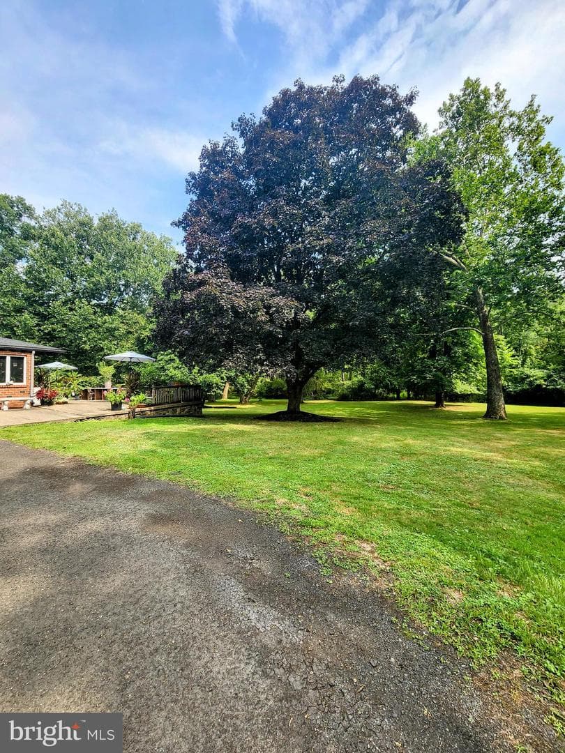 297 Lower State Road photo 26