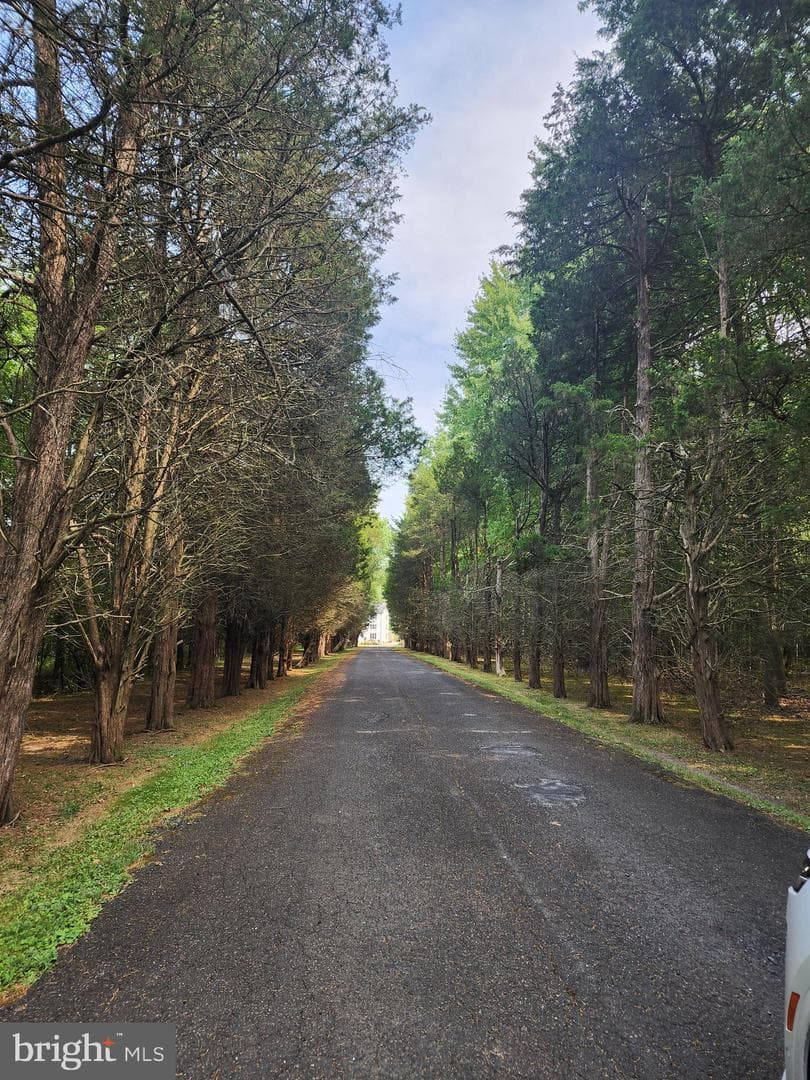 297 Lower State Road photo 29