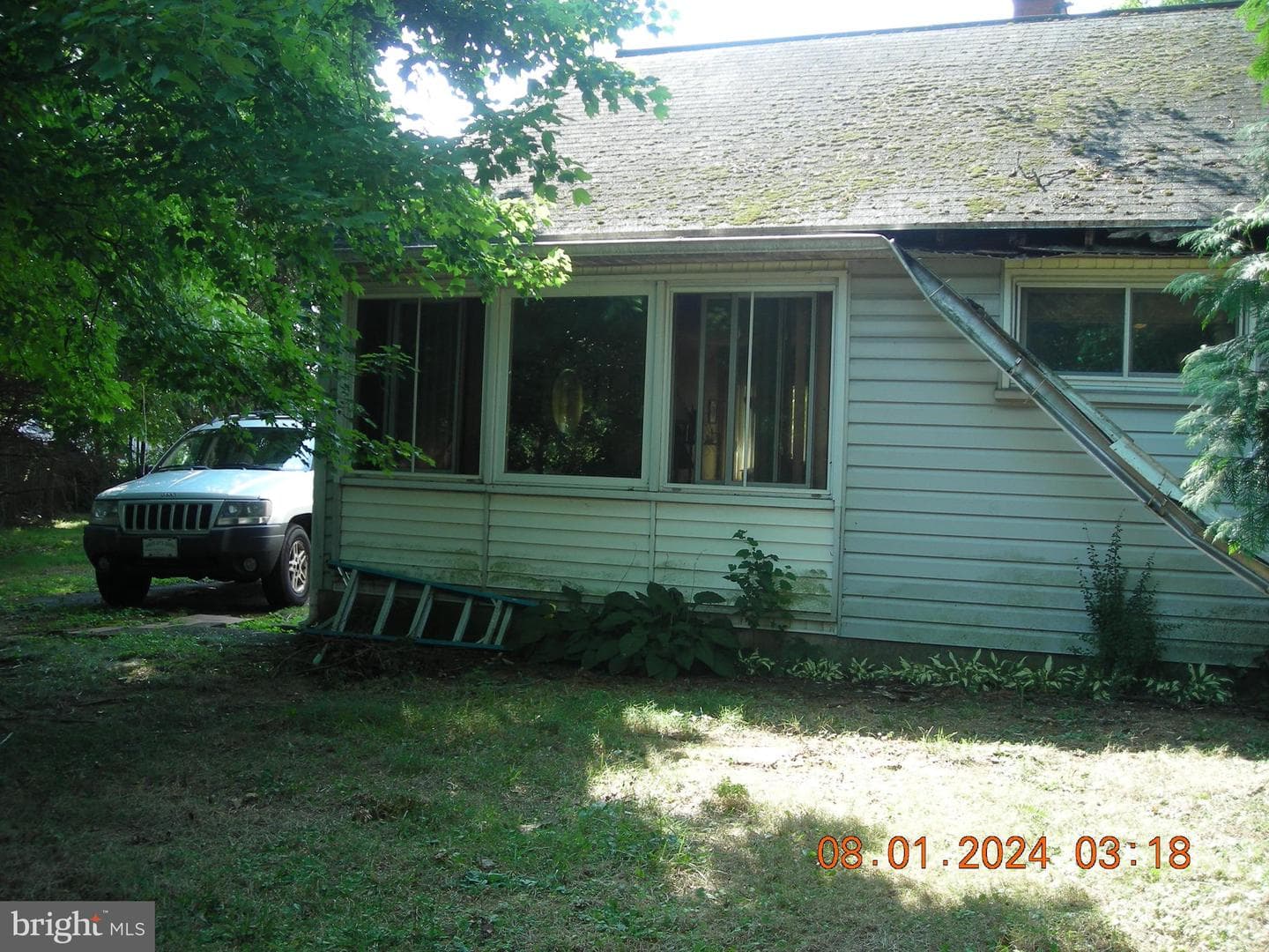 61 Galbraith photo 3
