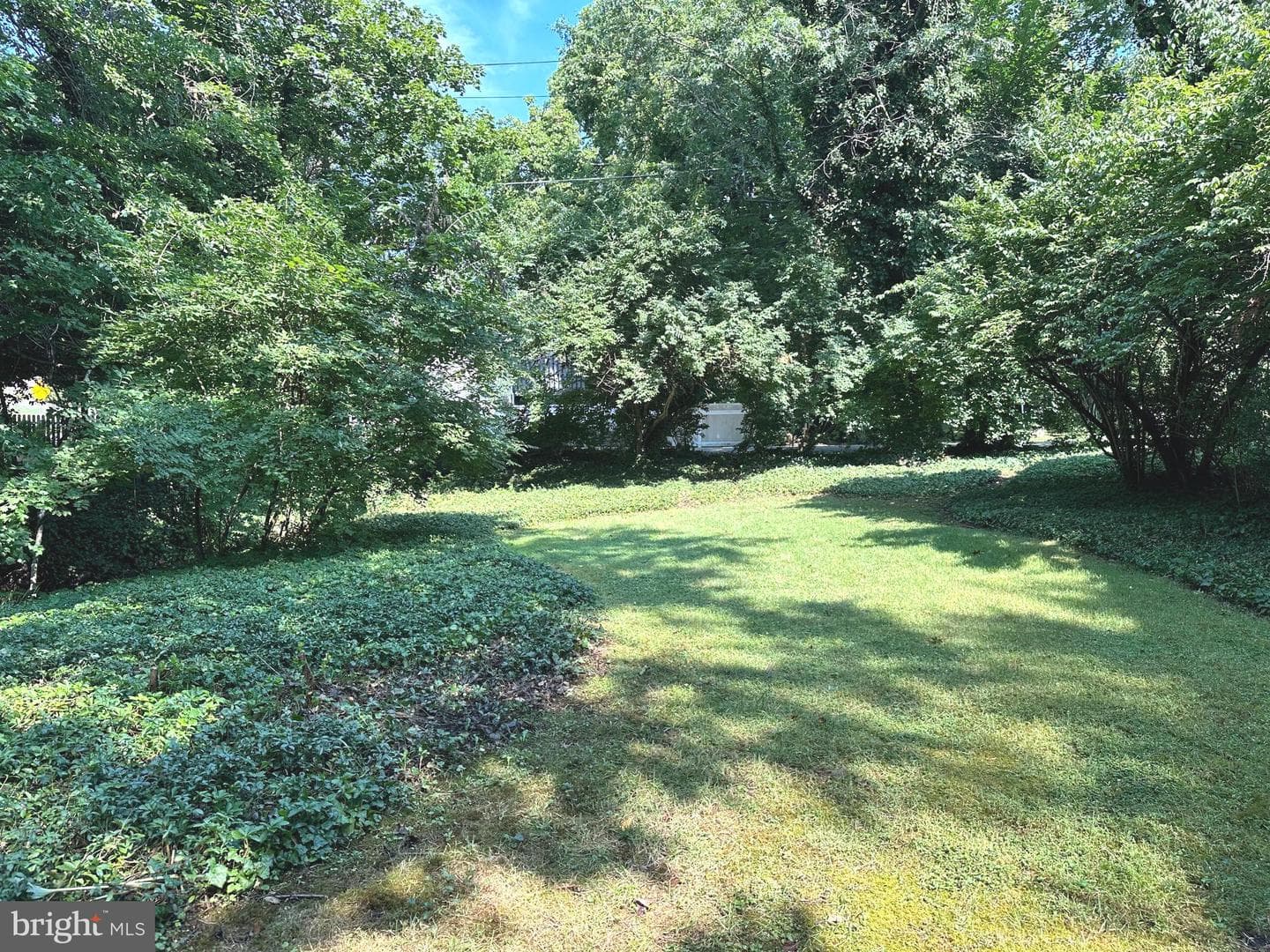 352 Calvert Road photo 39