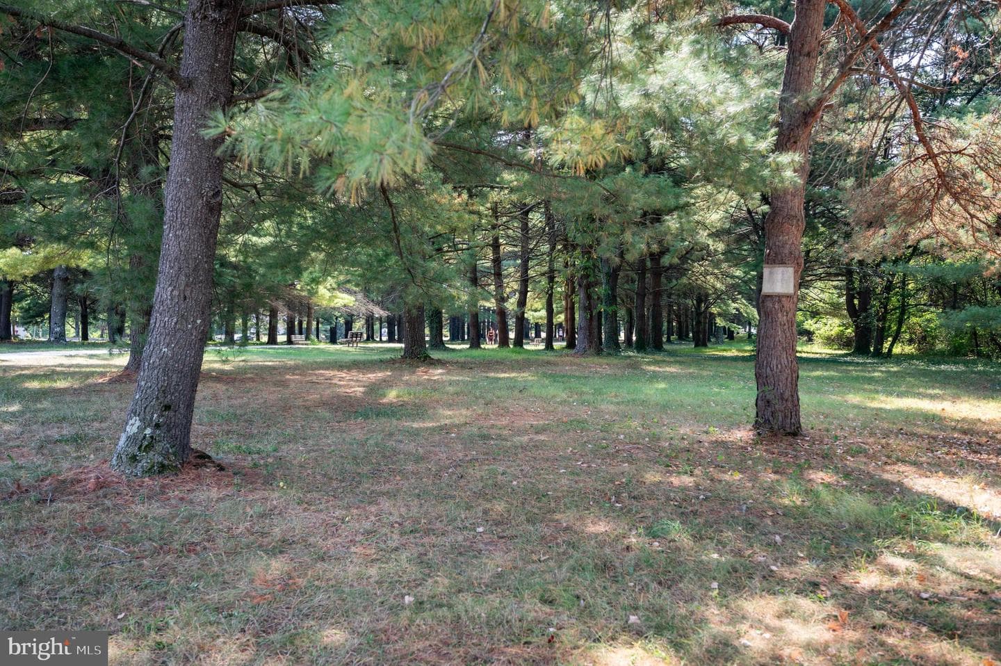 1375 Cinnamon Drive photo 42