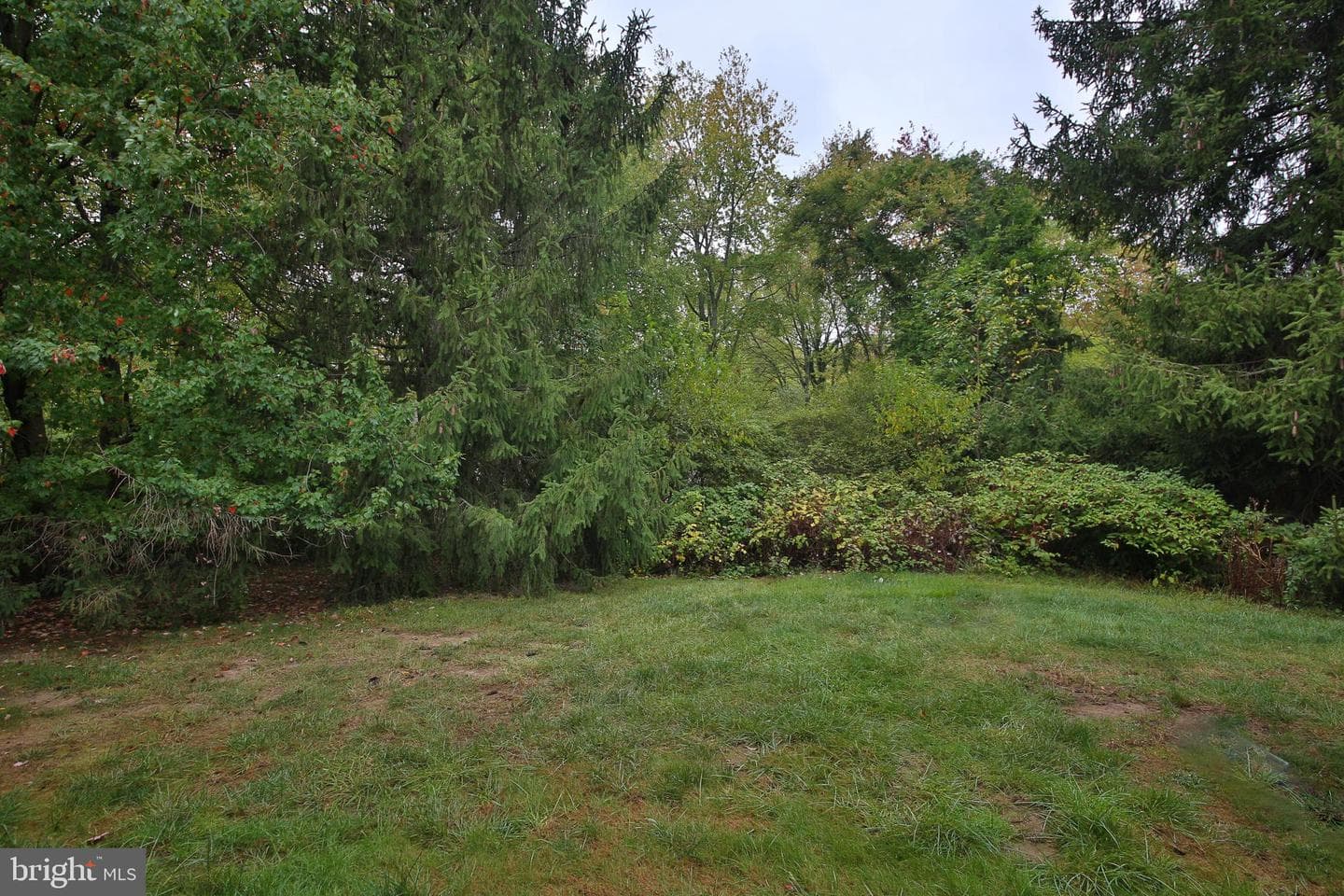 111 Shannon Drive photo 10