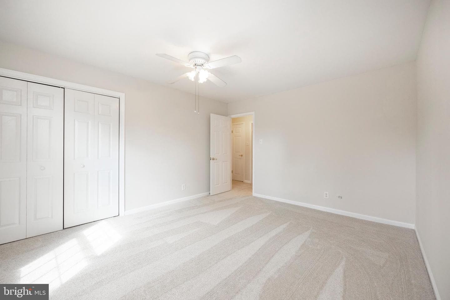 168 Albemarle Drive photo 17