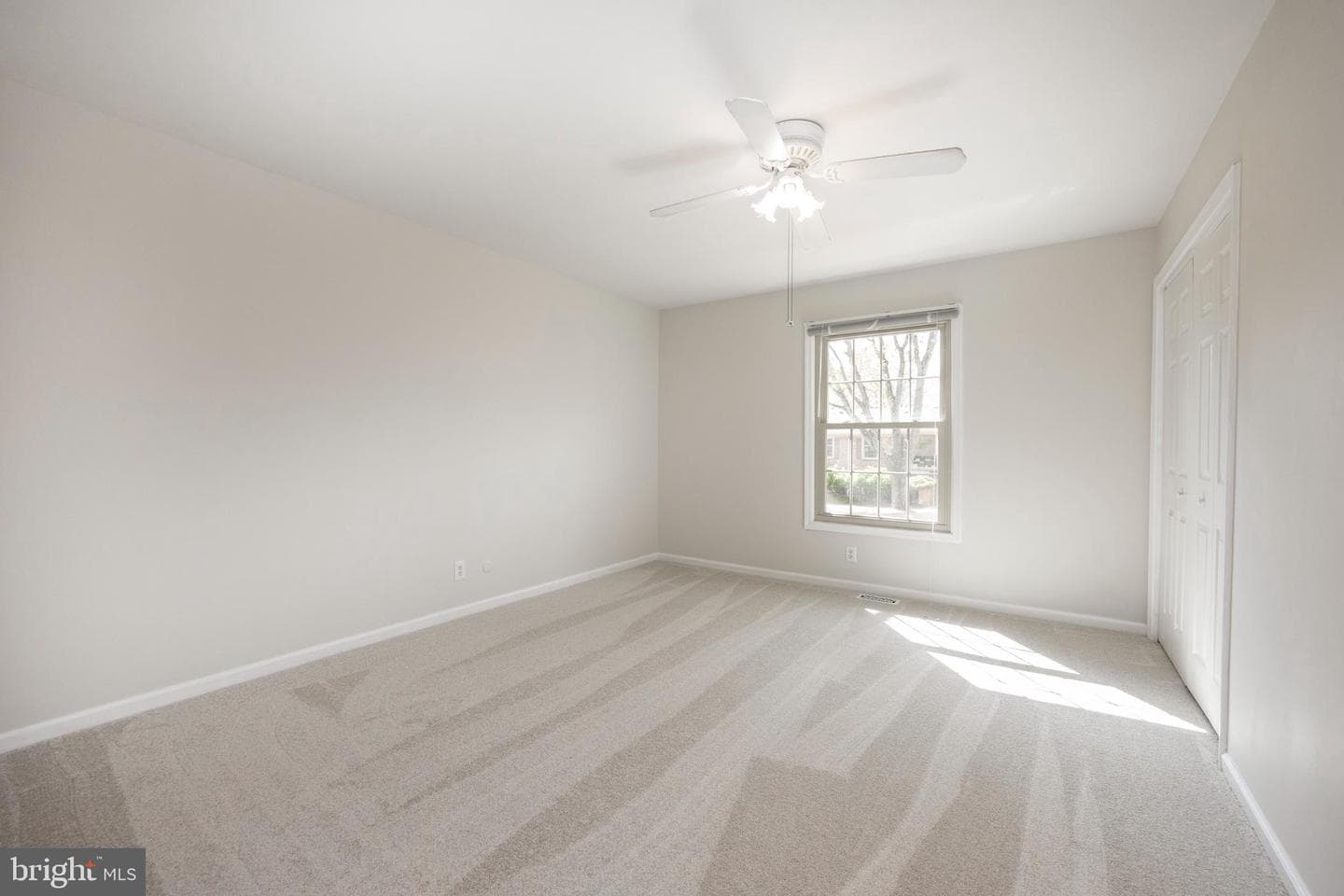168 Albemarle Drive photo 18