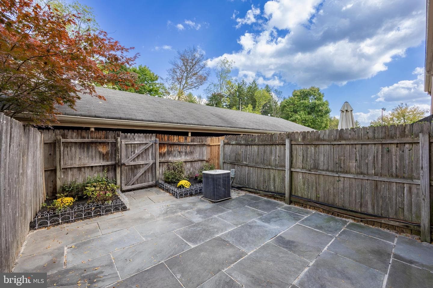 168 Albemarle Drive photo 25