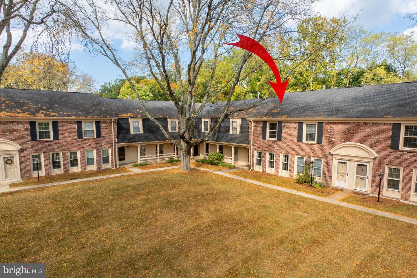 168 Albemarle Drive photo 34