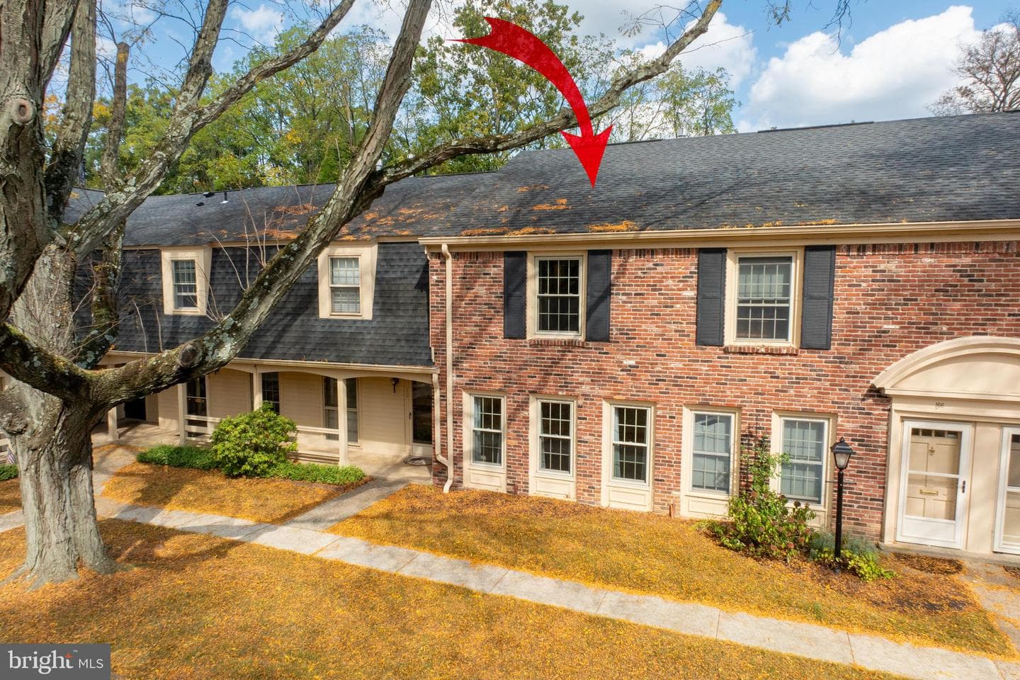 168 Albemarle Drive photo 4