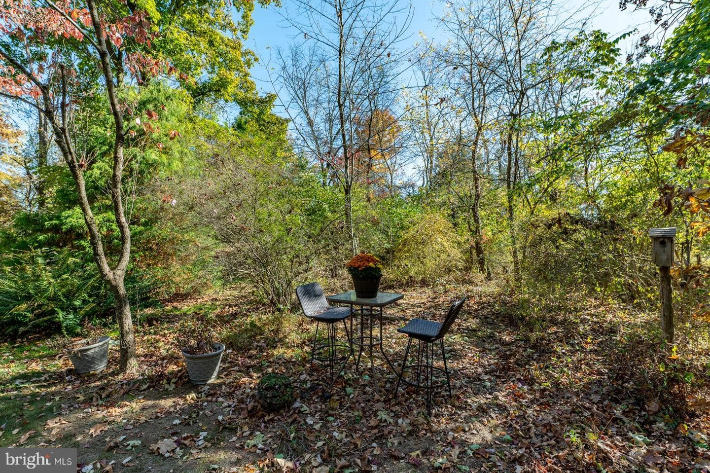 3378 Morris Road photo 50