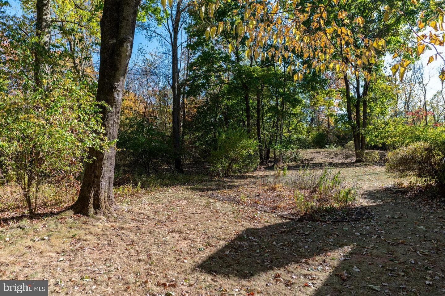 3378 Morris Road photo 52