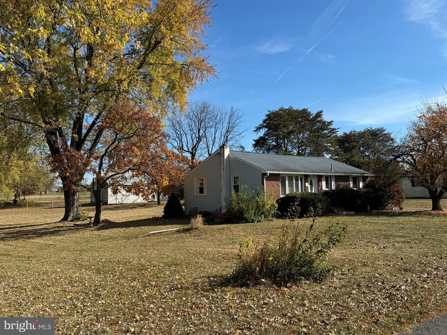 1241 2nd Avenue photo 4