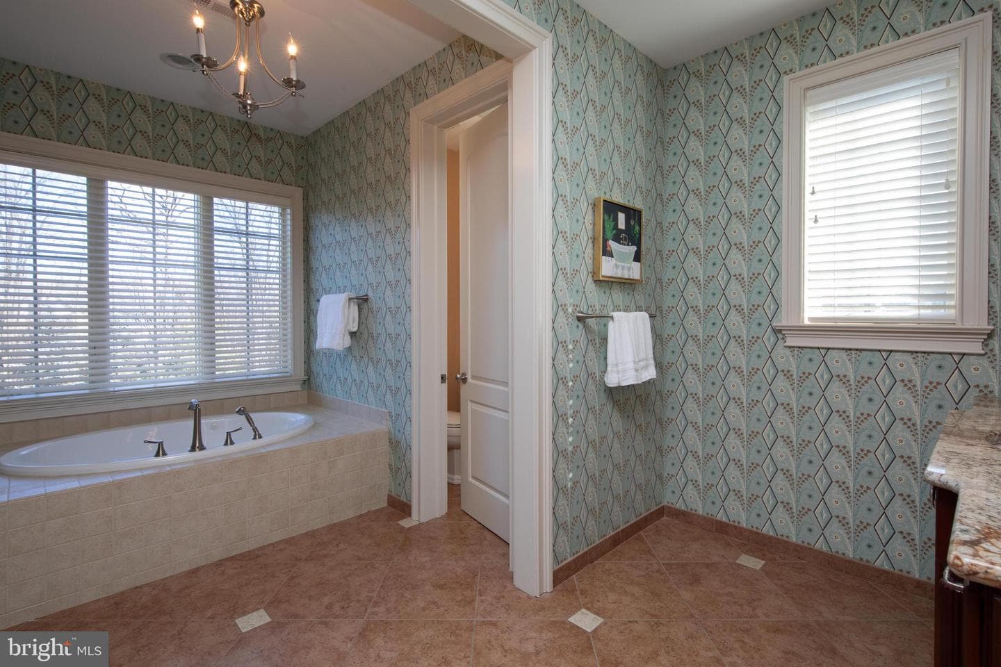 1733 School House Ln photo 35