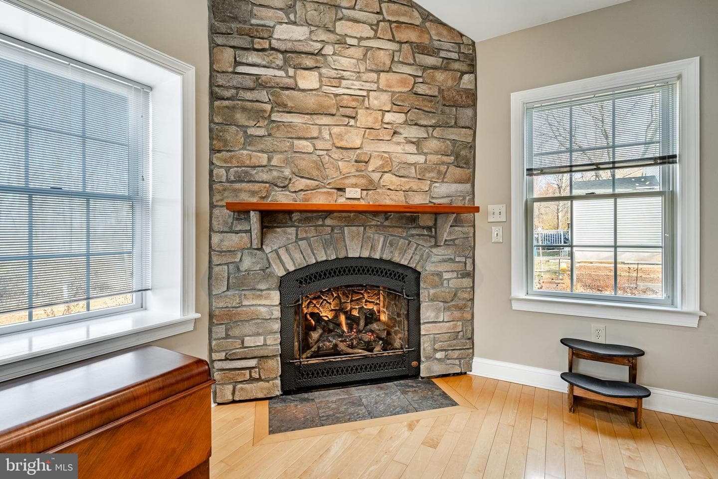 203 Twining Road photo 23