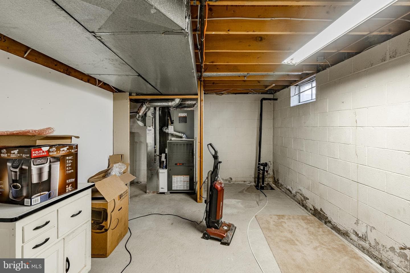 203 Twining Road photo 40