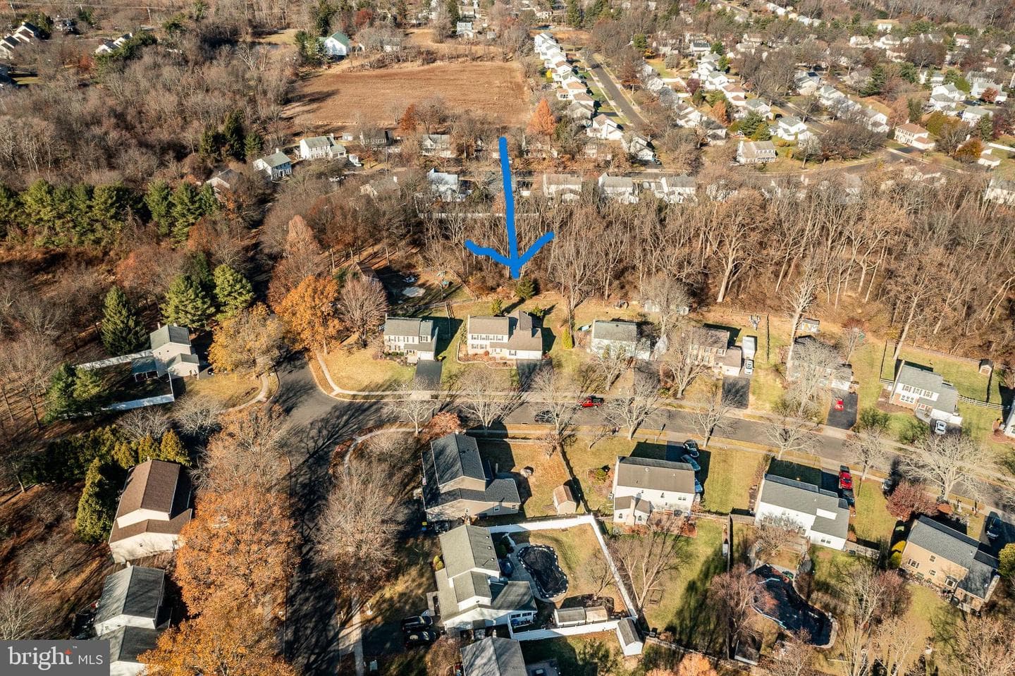 203 Twining Road photo 7