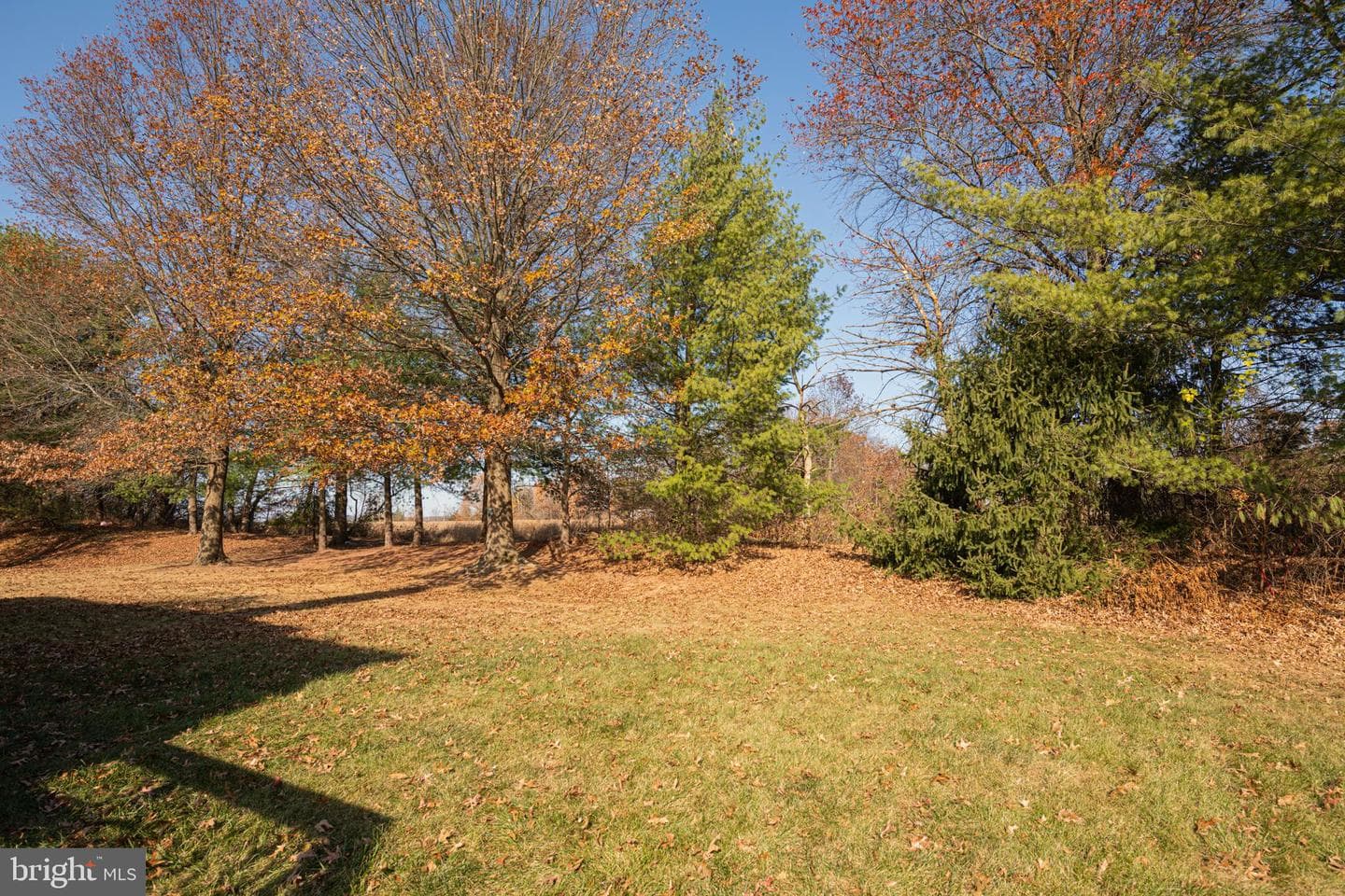 125 Azalea Circle photo 33