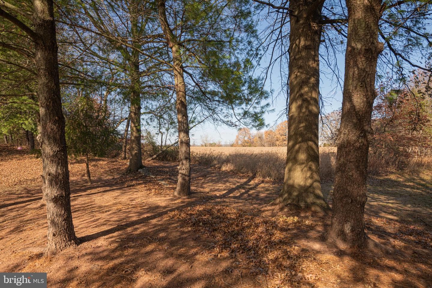 125 Azalea Circle photo 34