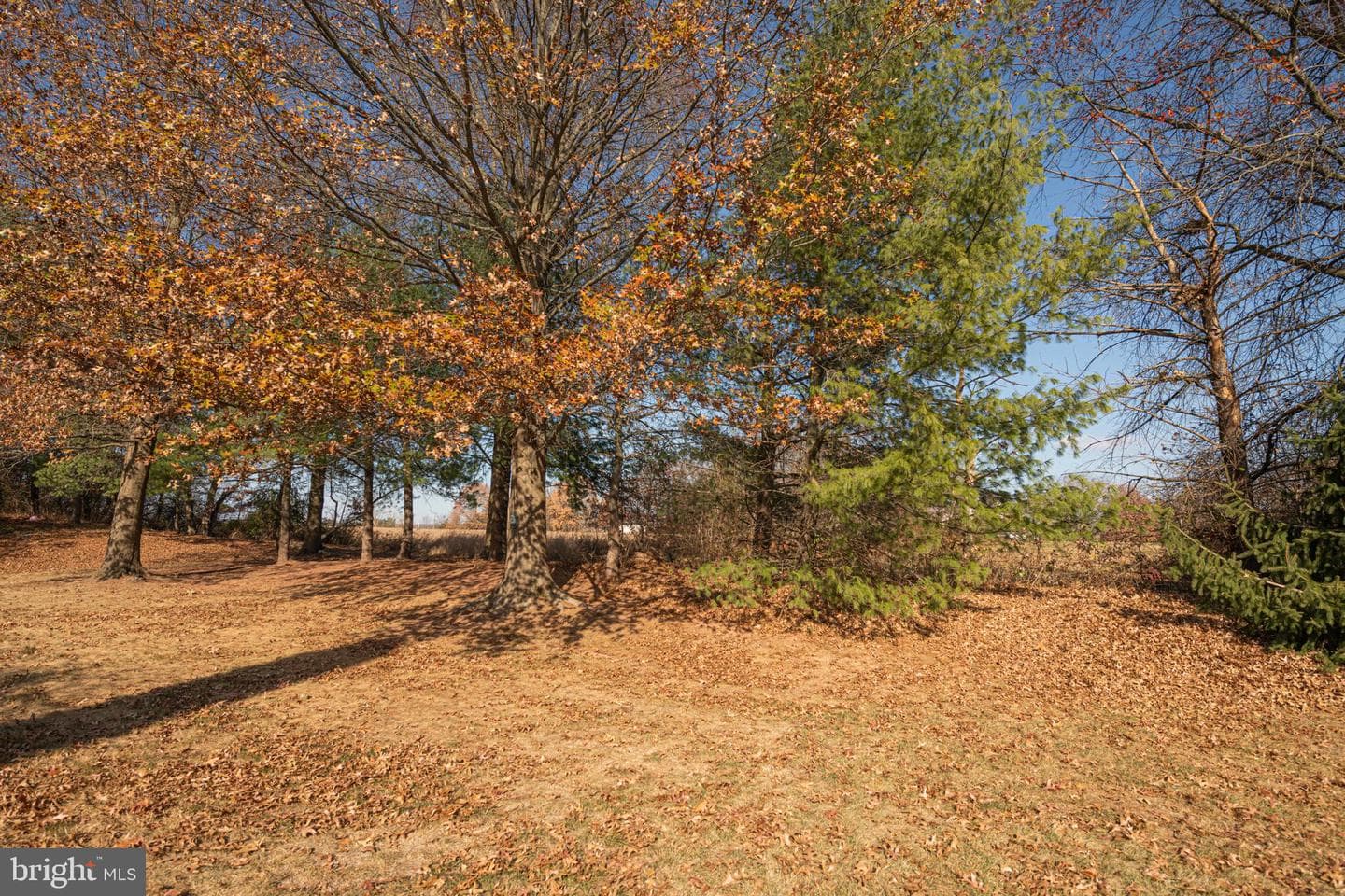 125 Azalea Circle photo 35