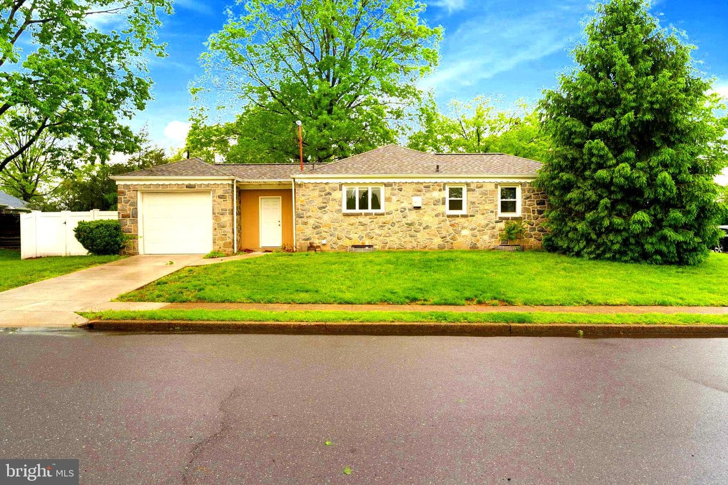 1005 Spruce Street photo 3