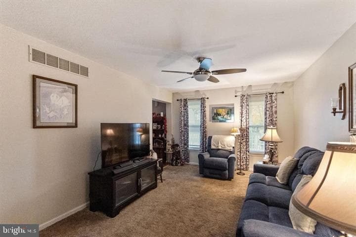 136 Hedgerow Drive photo 23