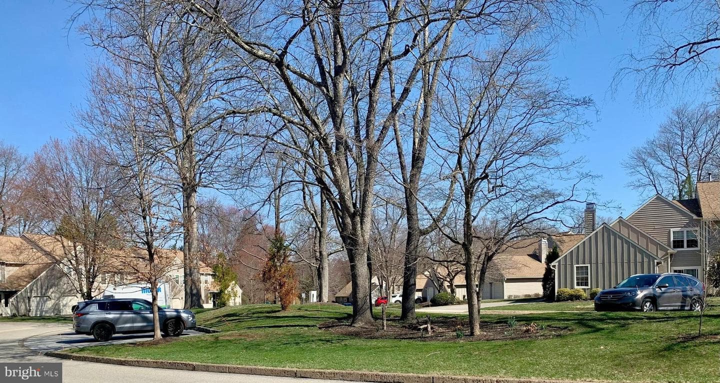 268 Tulip Tree Court photo 41