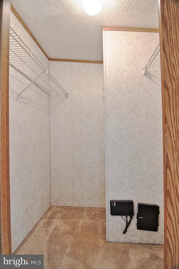 504 Maple Drive photo 9