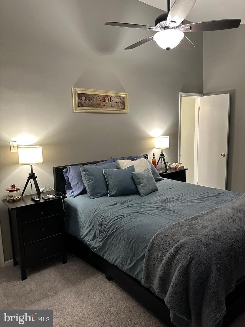 328 Lexington Road photo 24