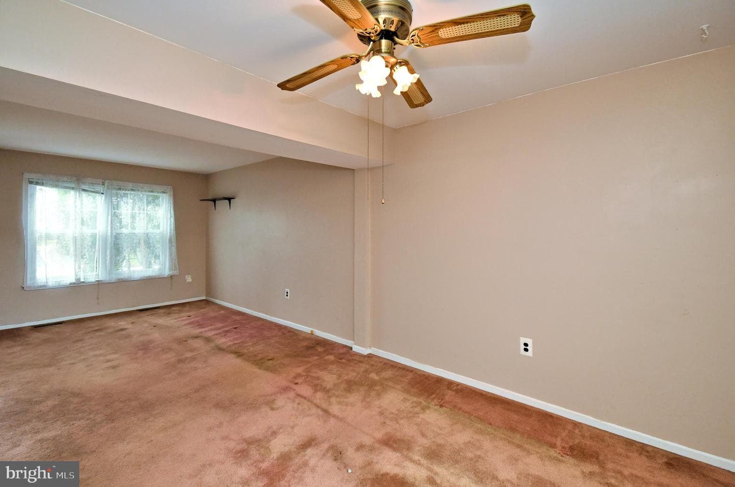 2689 Jean Drive photo 7