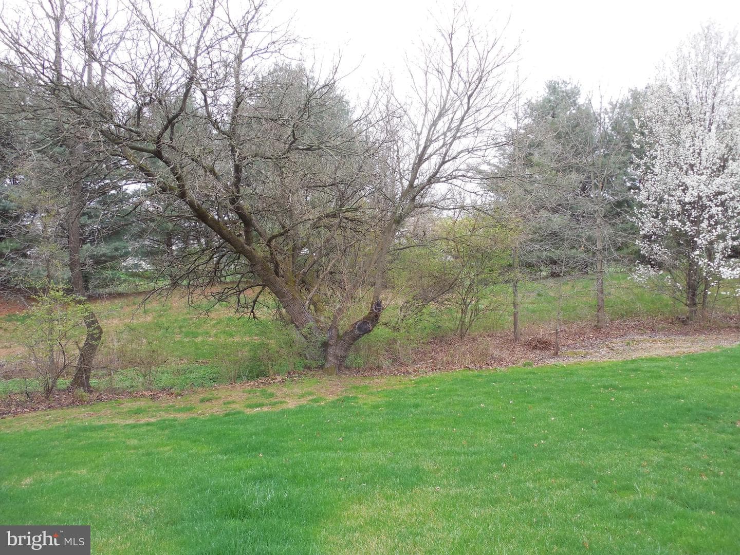 323 Parkview Drive photo 6