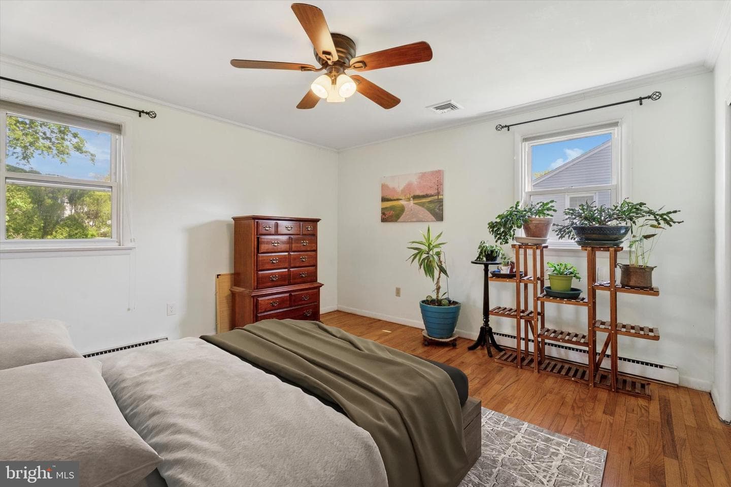 509 Vaughn Road photo 17