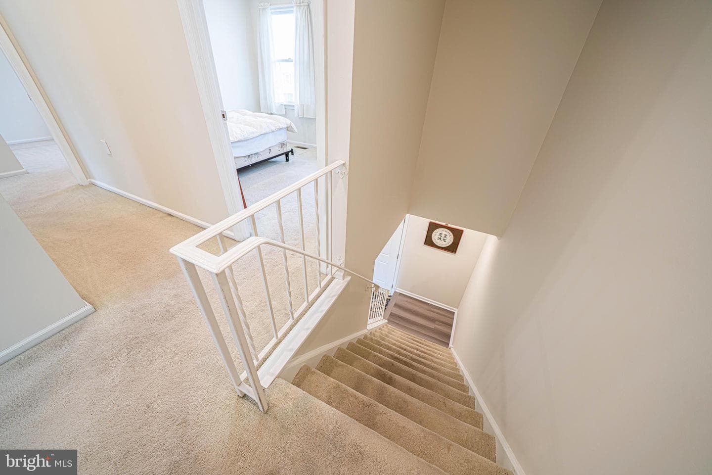 13 Oxford Circle photo 36