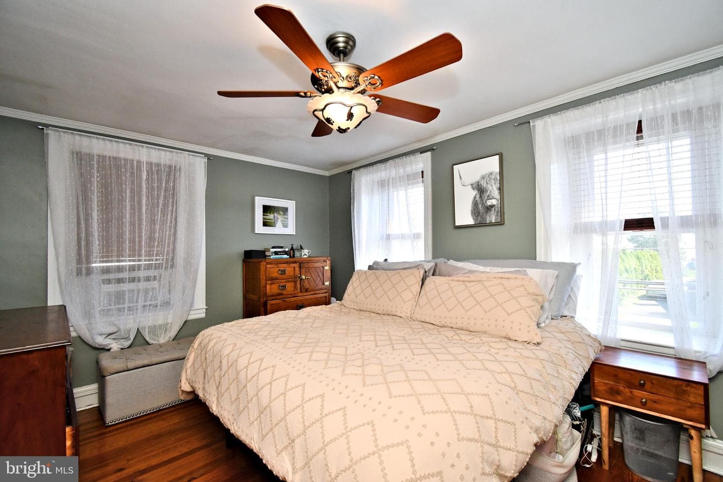 5 Ambler Road photo 19