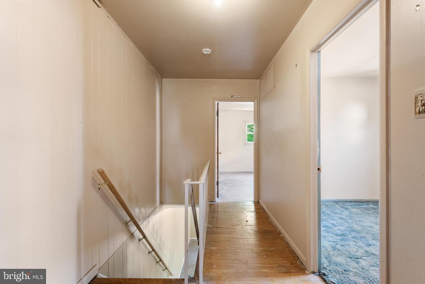503 Norma Lane photo 12