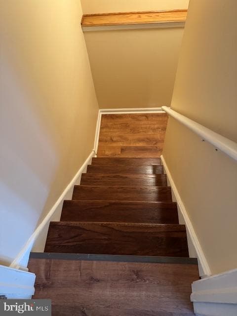 278 Emily Lane photo 55